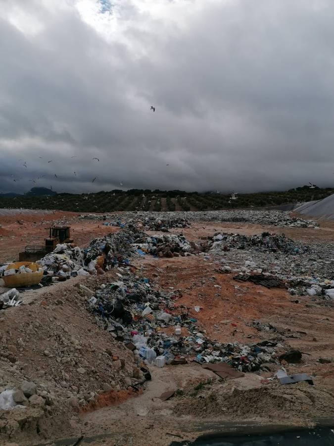 La planta de reciclaje de Estepa inflaba el peso de la basura