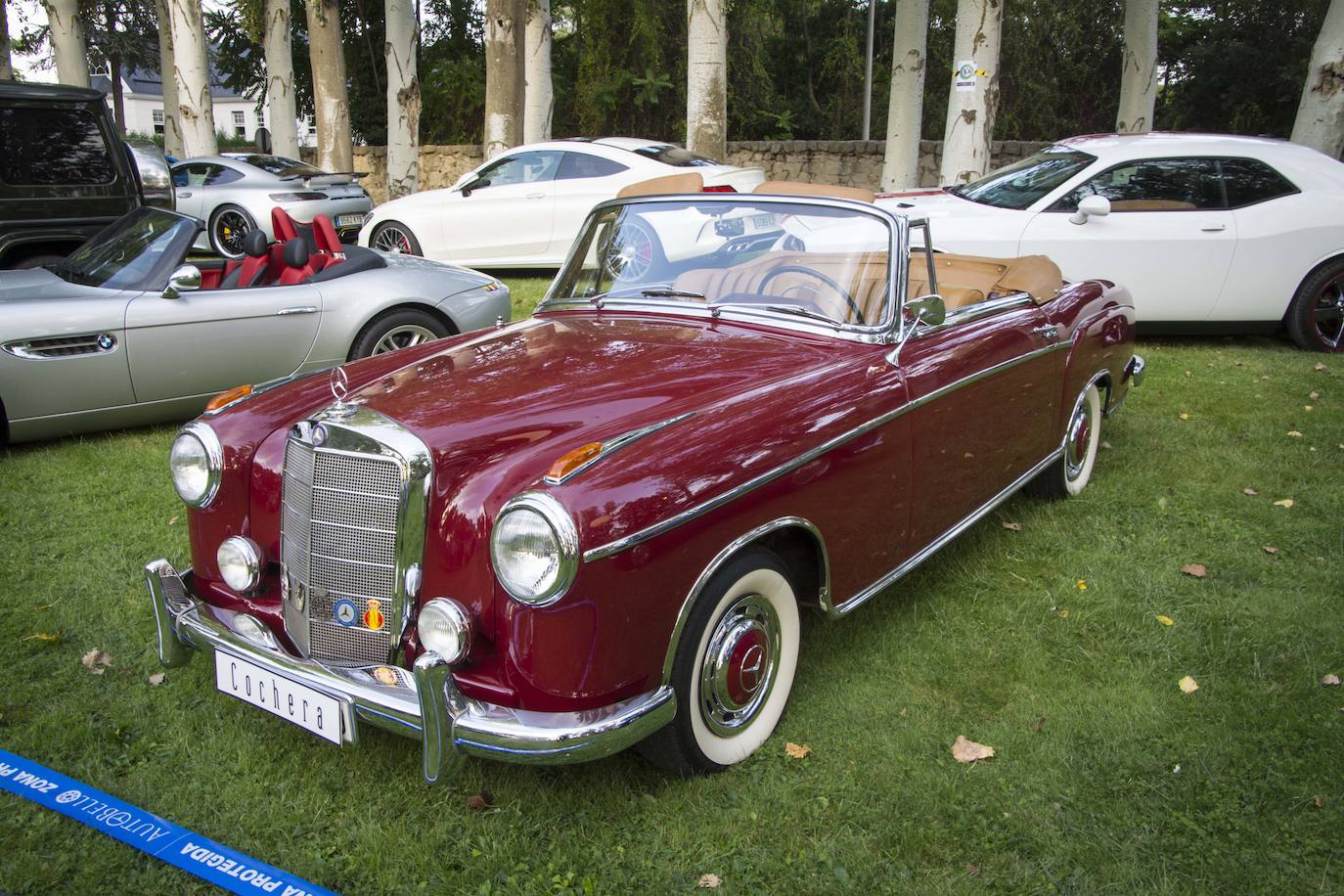 Las mejores fotos del concurso de elegancia Autobello