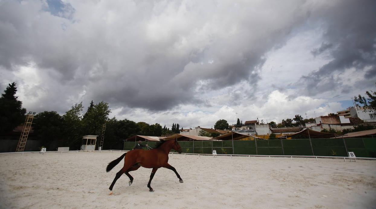 La Feria del Caballo de Córdoba (Cabalcor) calienta motores