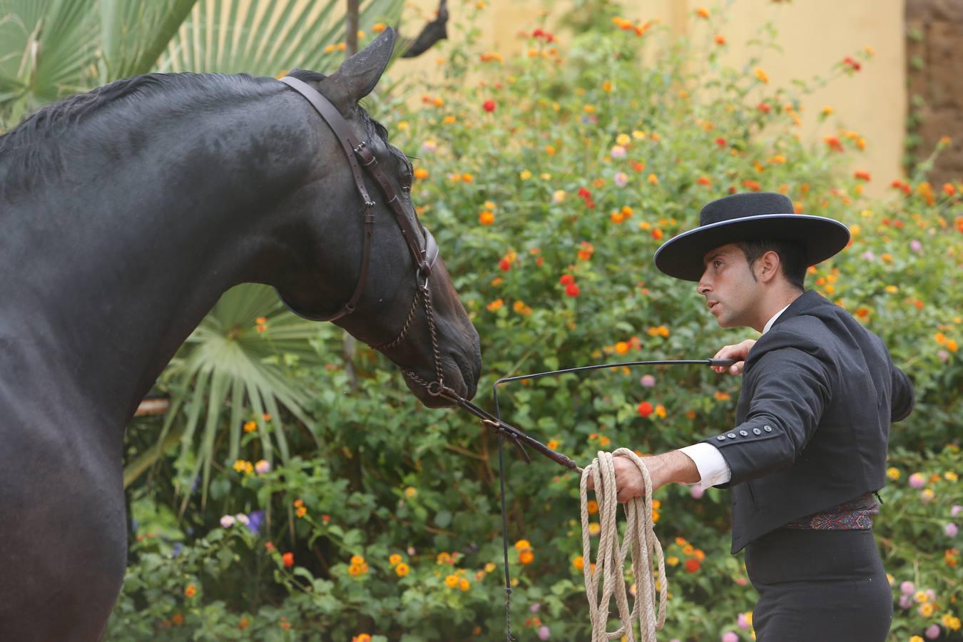 La Feria del Caballo de Córdoba (Cabalcor) calienta motores