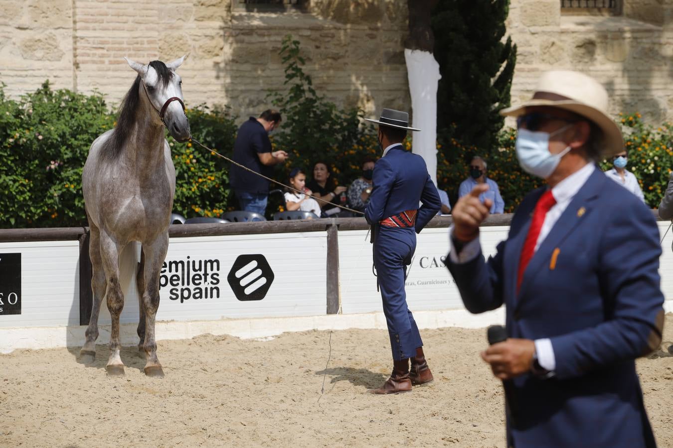 La entrega de premios del «Ciudad de Córdoba», en imágenes