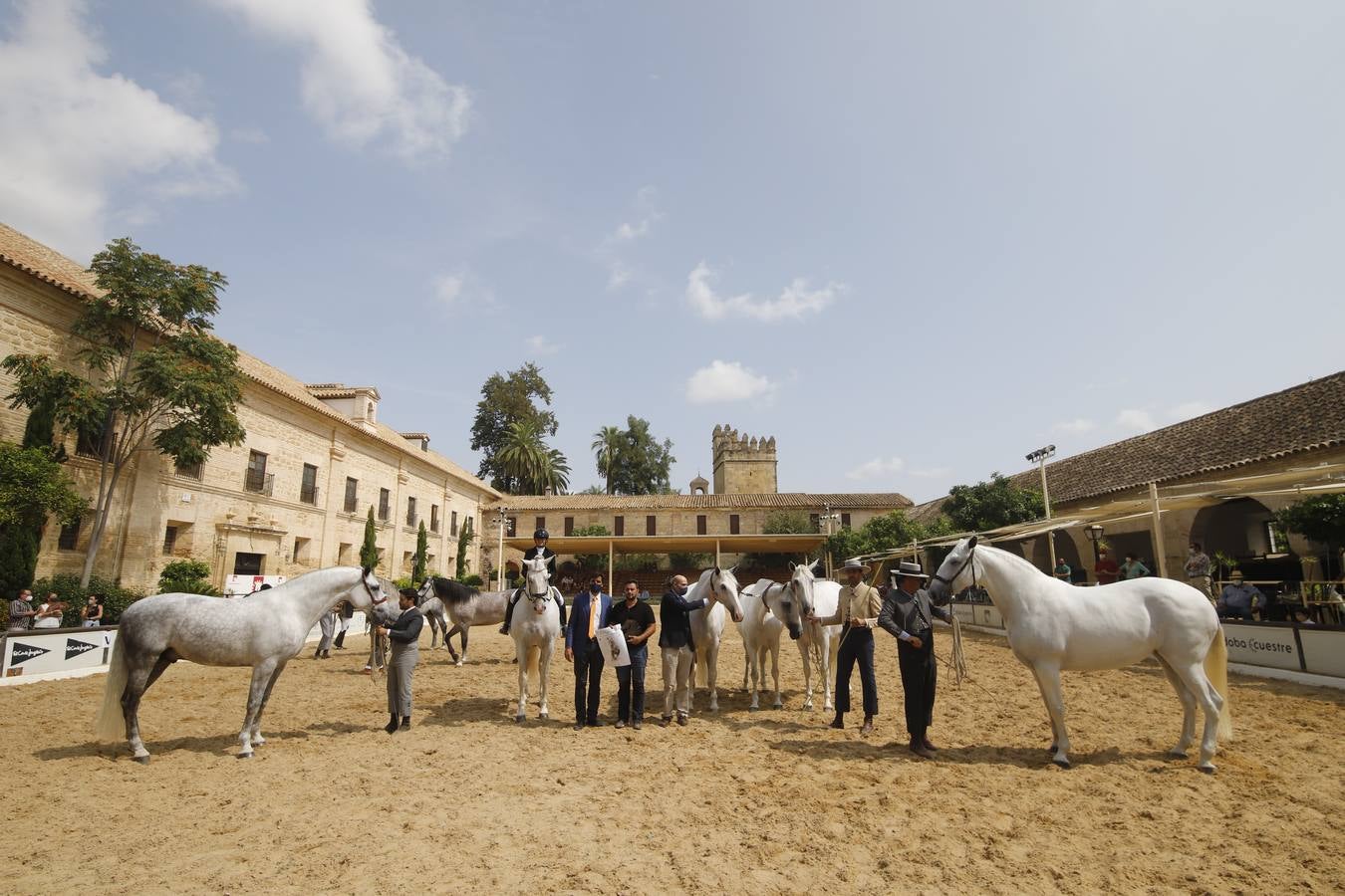 La entrega de premios del «Ciudad de Córdoba», en imágenes