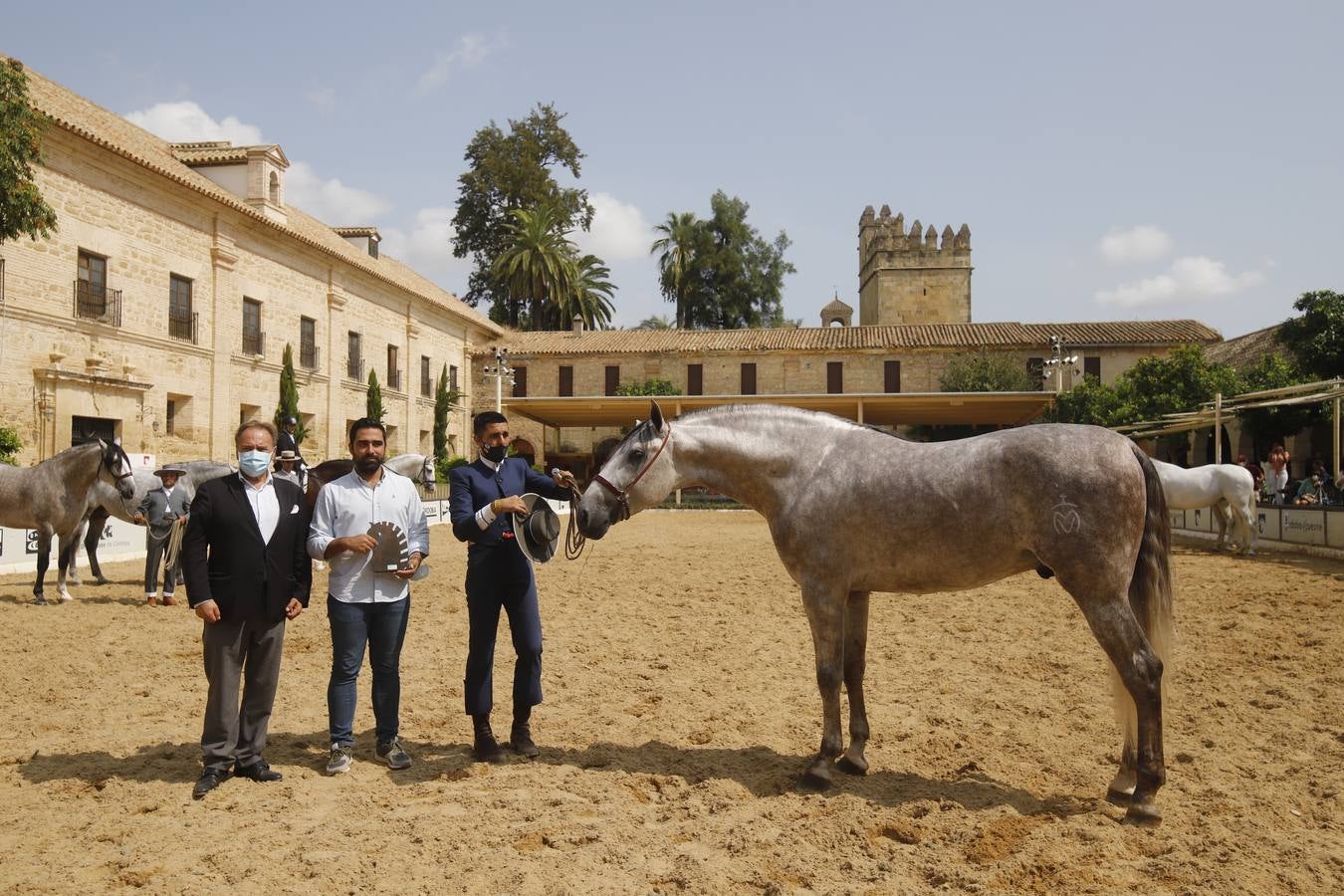 La entrega de premios del «Ciudad de Córdoba», en imágenes