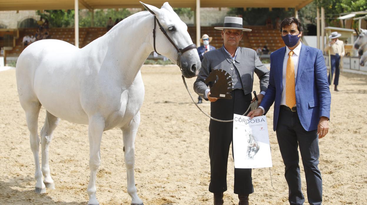 La entrega de premios del «Ciudad de Córdoba», en imágenes