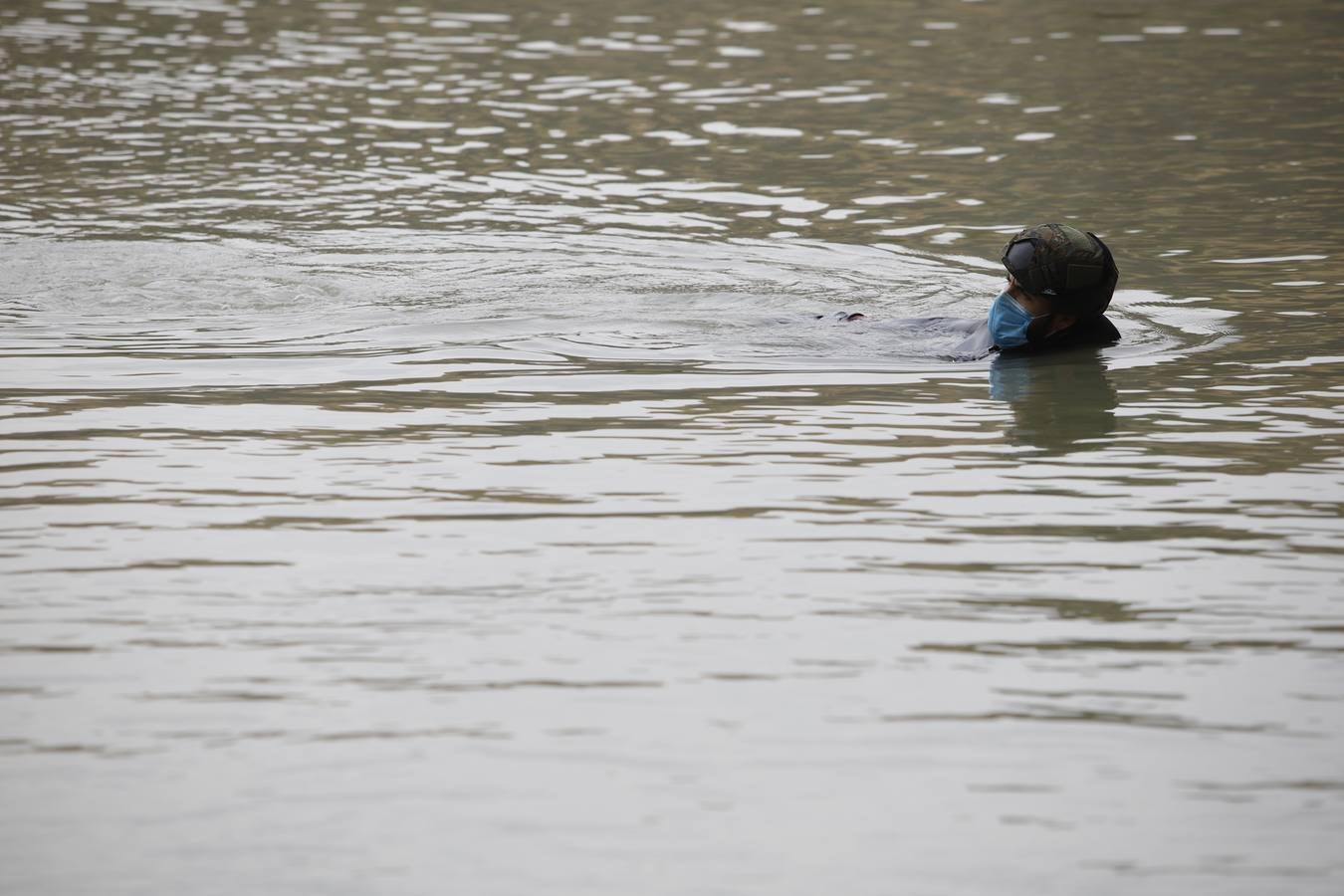 La búsqueda de José Morilla en el Guadalquivir, en imágenes