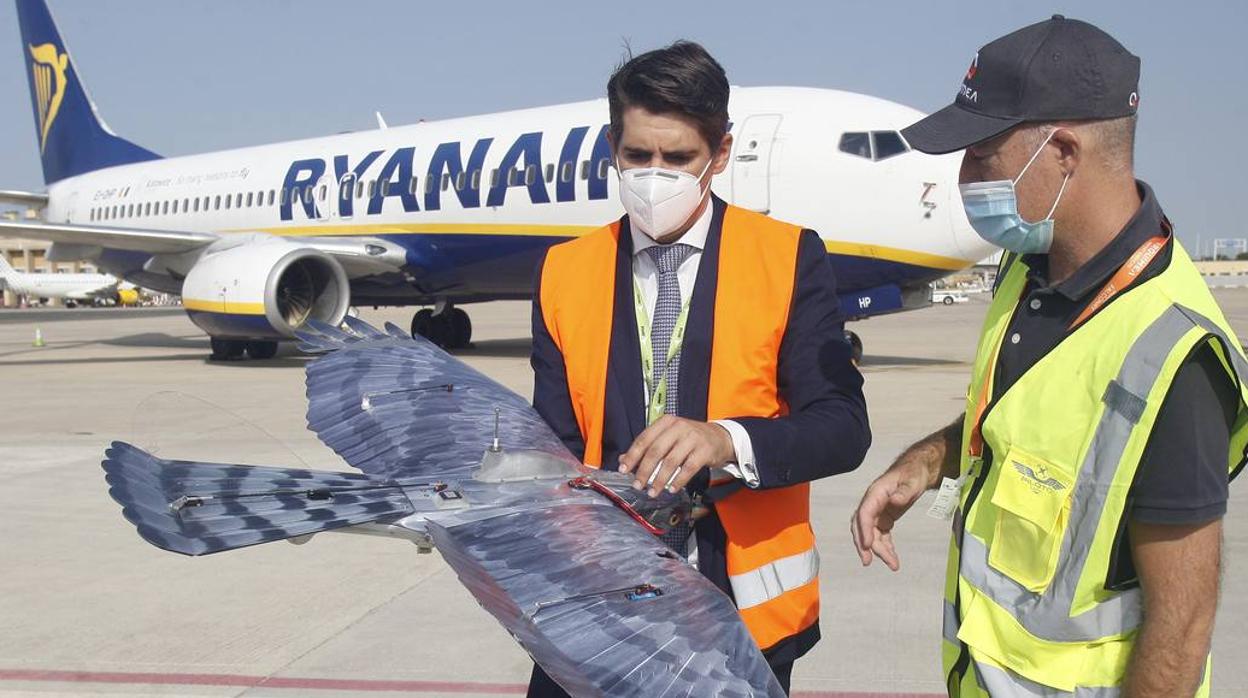 Drones para ahuyentar a la fauna en el aeropuerto de Sevilla