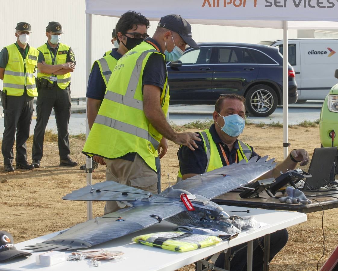 Drones para ahuyentar a la fauna en el aeropuerto de Sevilla