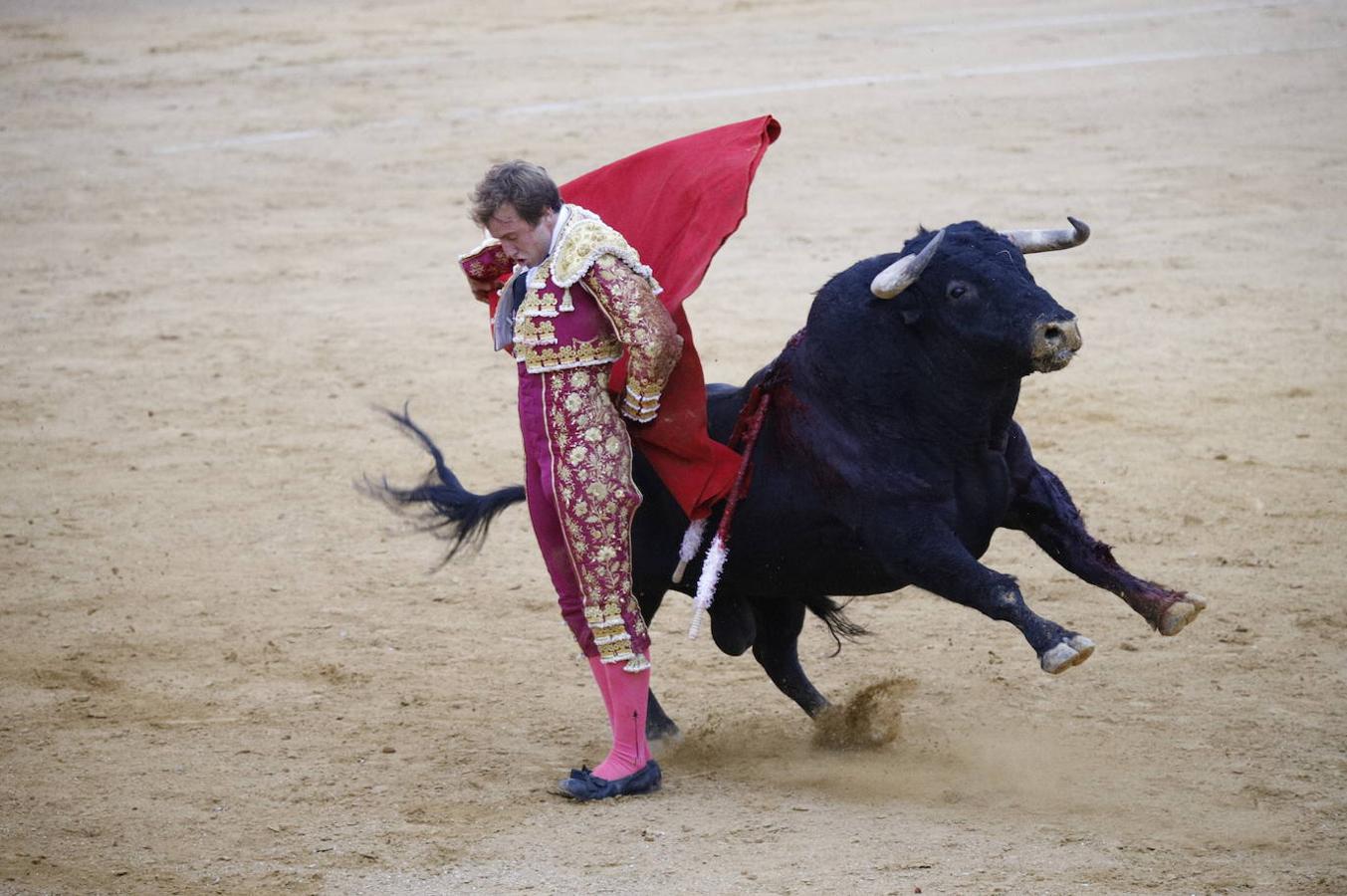 La corrida de toros en Cabra, en imágenes