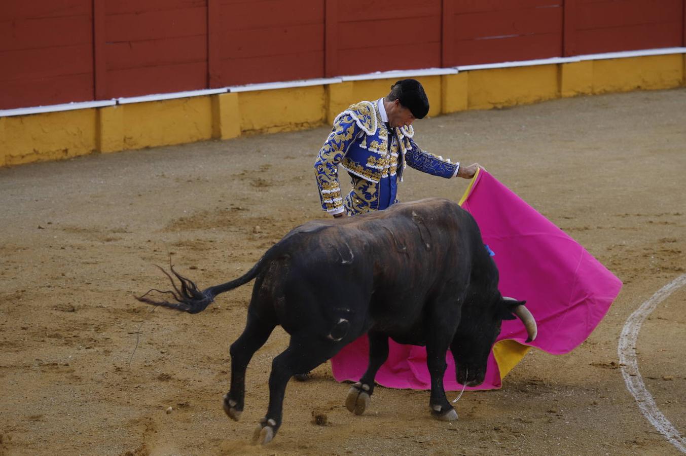 La corrida de toros en Cabra, en imágenes