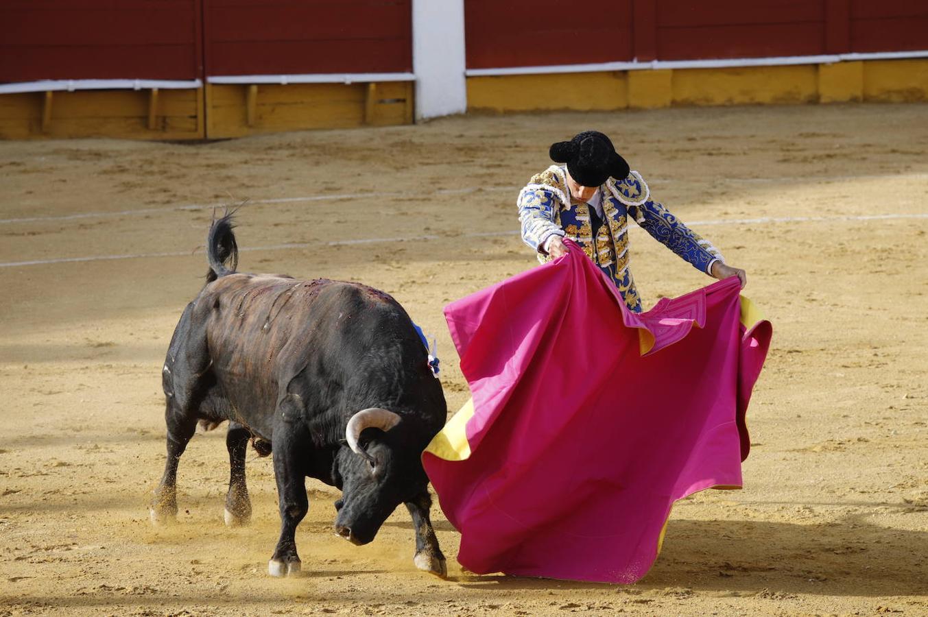 La corrida de toros en Cabra, en imágenes