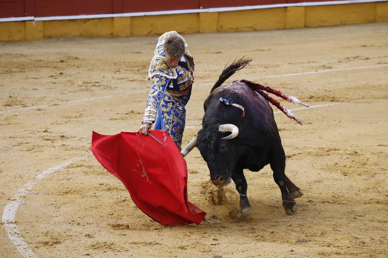 La corrida de toros en Cabra, en imágenes