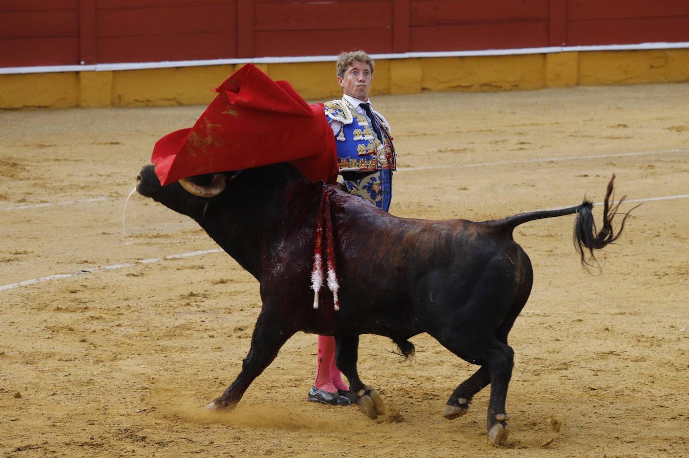 La corrida de toros en Cabra, en imágenes