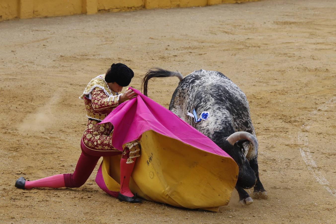 La corrida de toros en Cabra, en imágenes