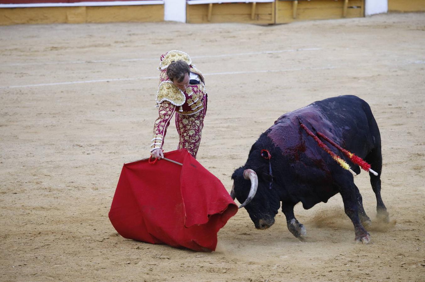 La corrida de toros en Cabra, en imágenes