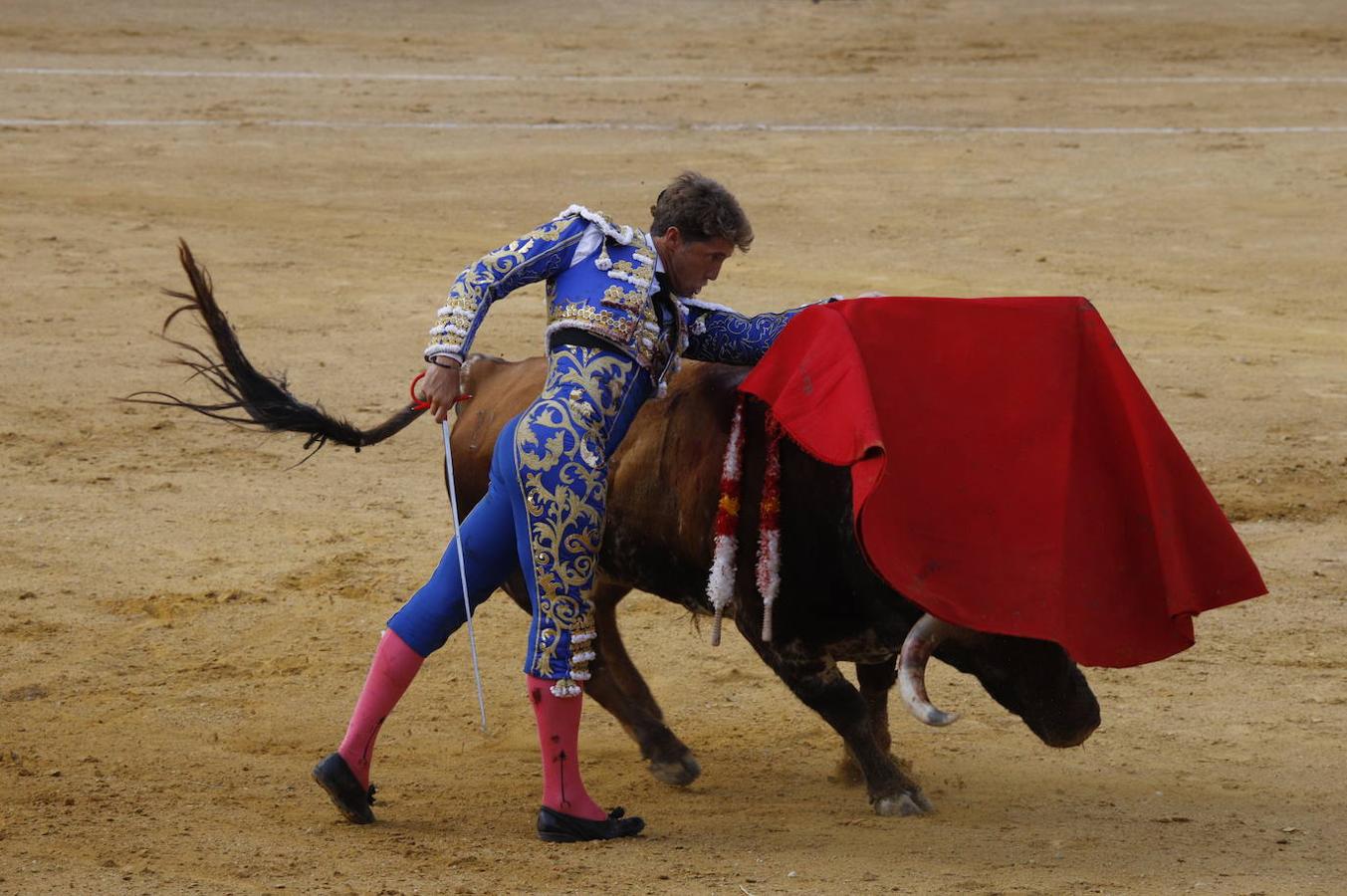 La corrida de toros en Cabra, en imágenes