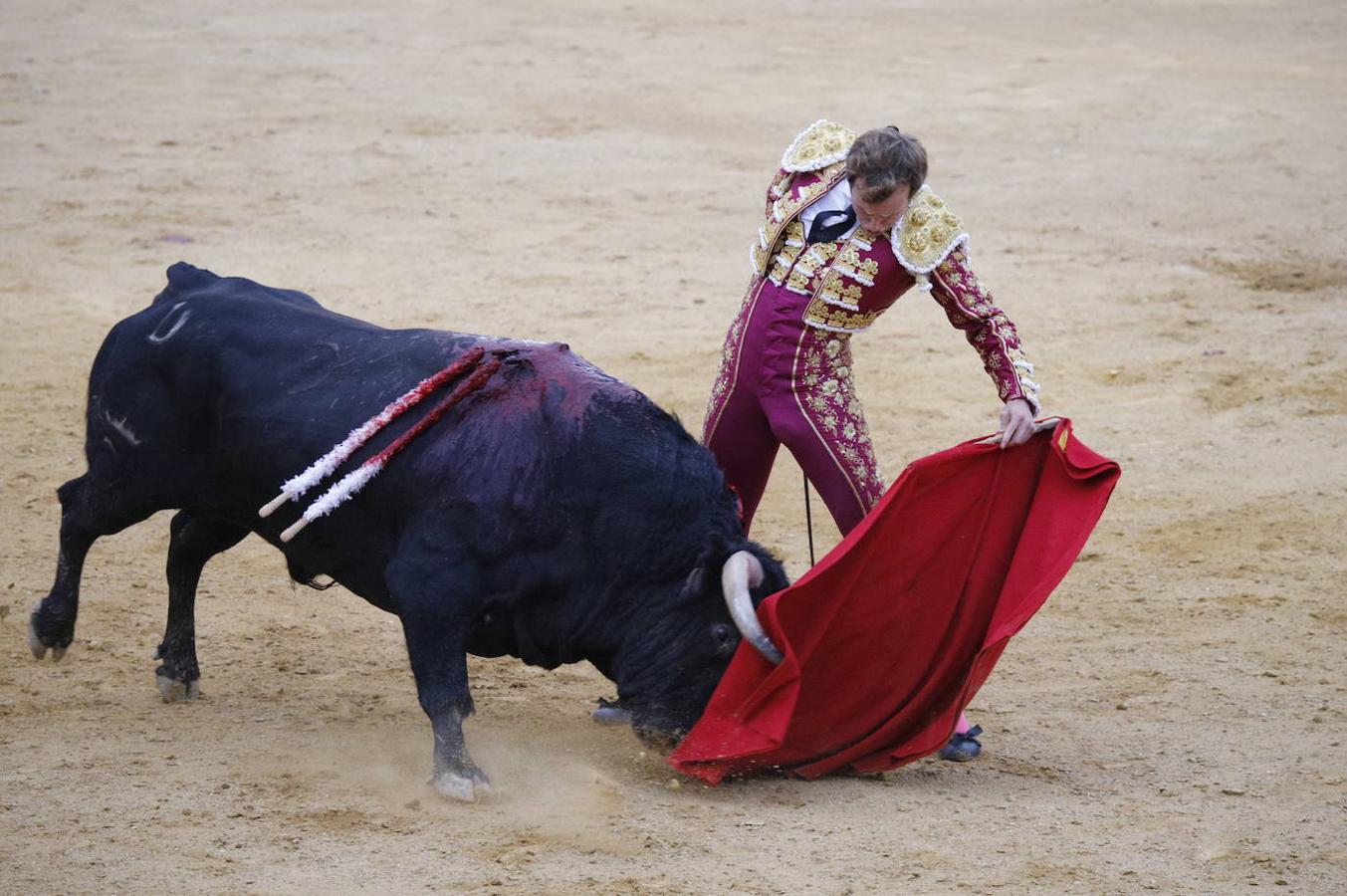 La corrida de toros en Cabra, en imágenes