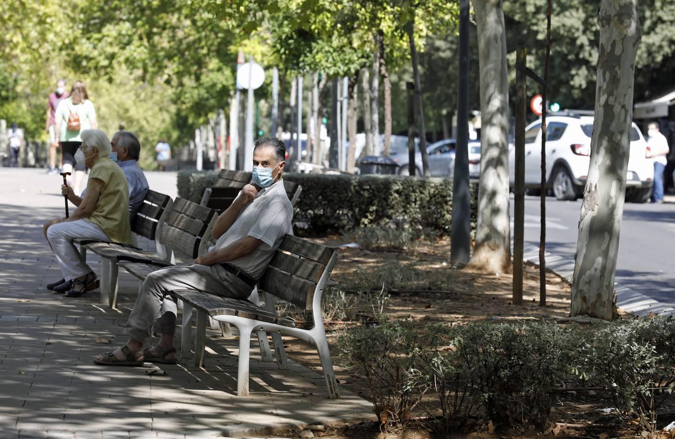 El deterioro del barrio de Ciudad Jardín, de Córdoba, en imágenes