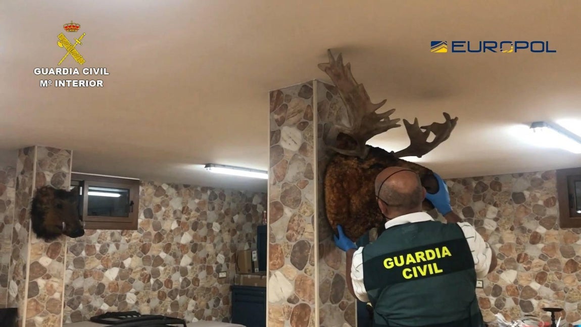 El dudoso gusto de los narcos, en imágenes