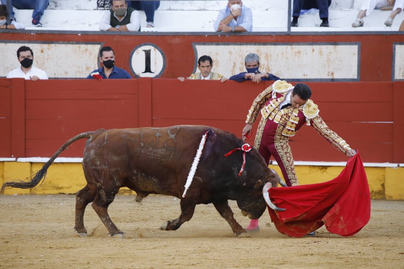 El «mano a mano» de enrique Ponce y Curro Díaz en Cabra, en imágenes (II)