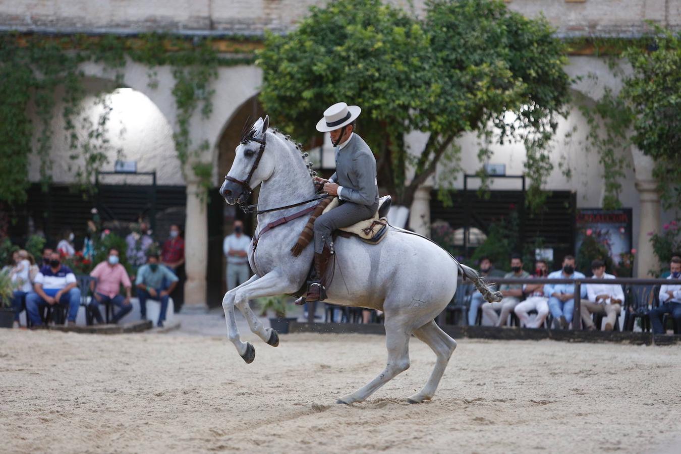 La II Copa de España de Doma Vaquera en Córdoba, en imágenes