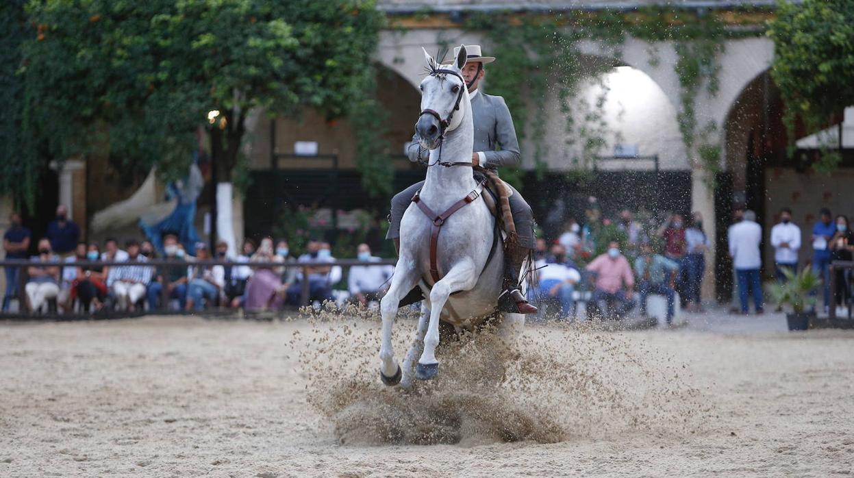 La II Copa de España de Doma Vaquera en Córdoba, en imágenes