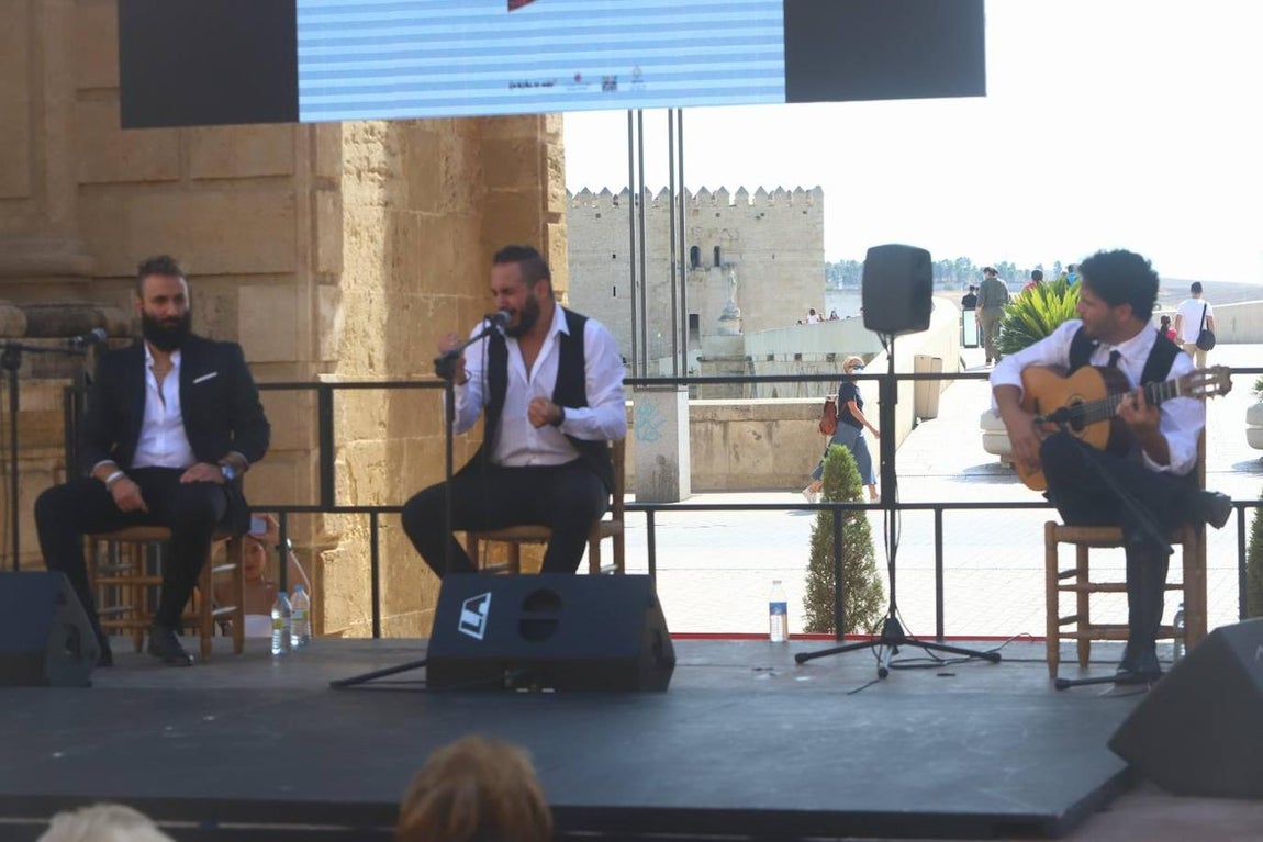 Las celebraciónes del día del Turismo en Córdoba, en imágenes