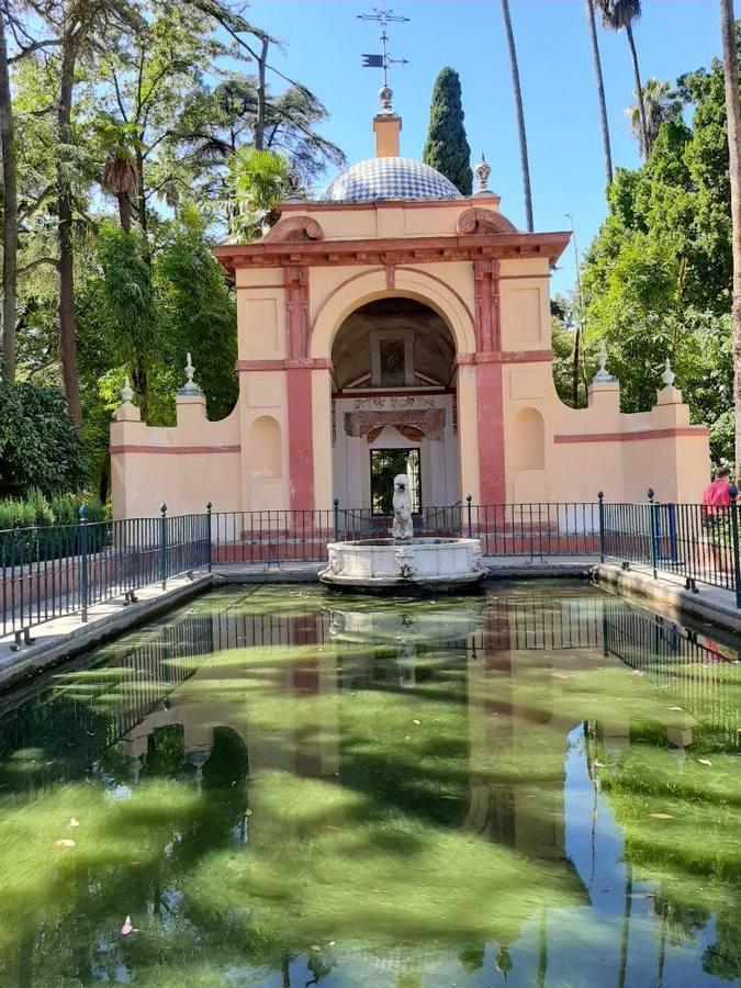 Suciedad en los estanques del Alcázar de Sevilla