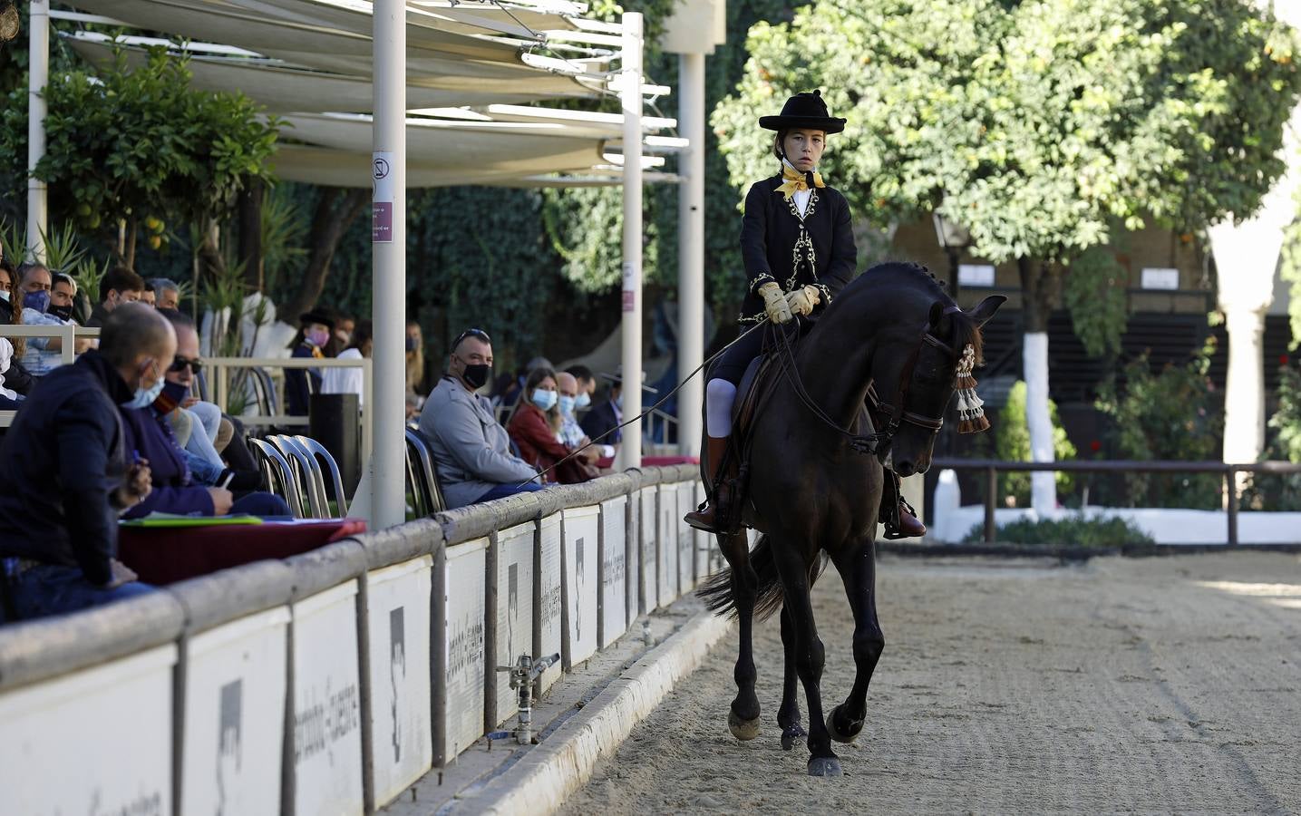 El XIII Campeonato de Andalucía de Alta Escuela en Caballerizas, en imágenes