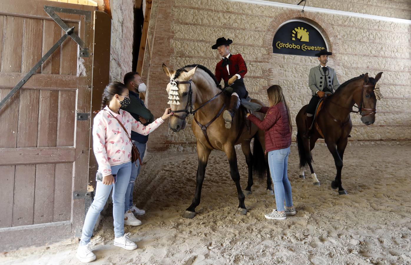 El XIII Campeonato de Andalucía de Alta Escuela en Caballerizas, en imágenes