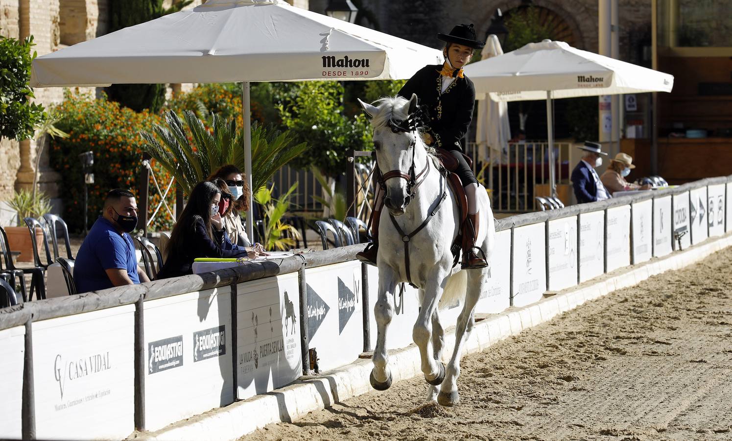 El XIII Campeonato de Andalucía de Alta Escuela en Caballerizas, en imágenes