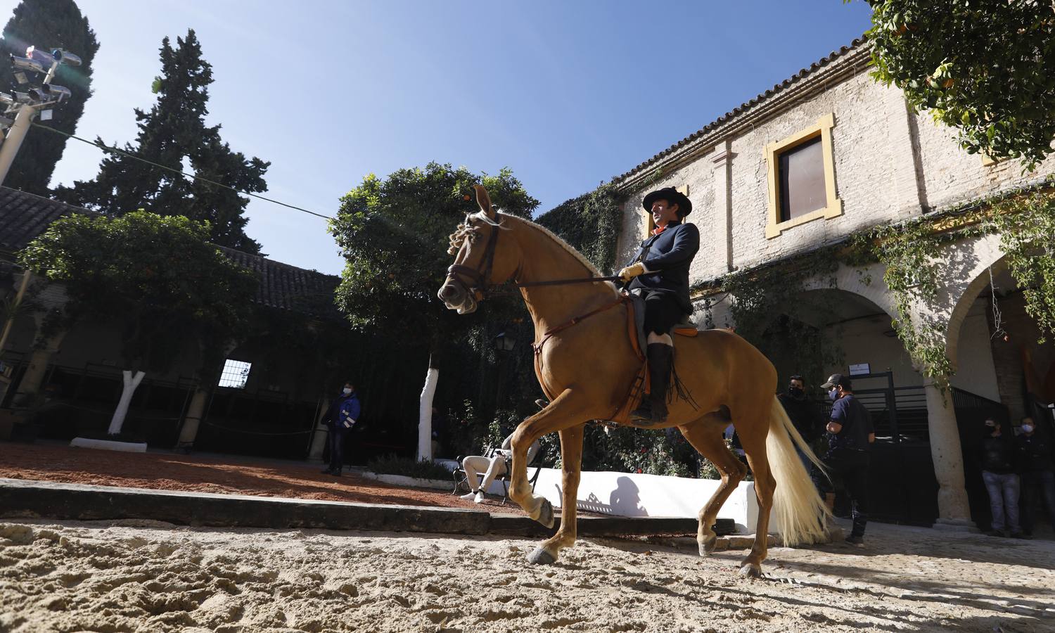 El XIII Campeonato de Andalucía de Alta Escuela en Caballerizas, en imágenes