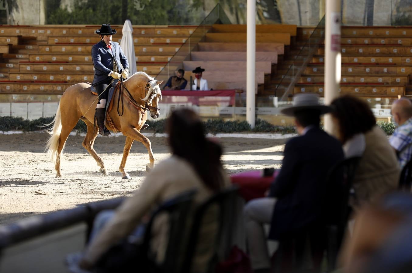 El XIII Campeonato de Andalucía de Alta Escuela en Caballerizas, en imágenes