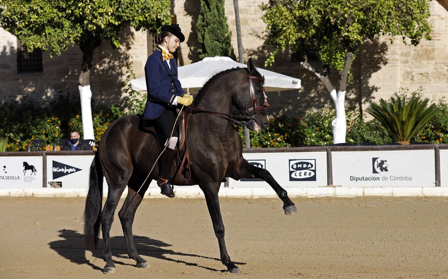 El XIII Campeonato de Andalucía de Alta Escuela en Caballerizas, en imágenes