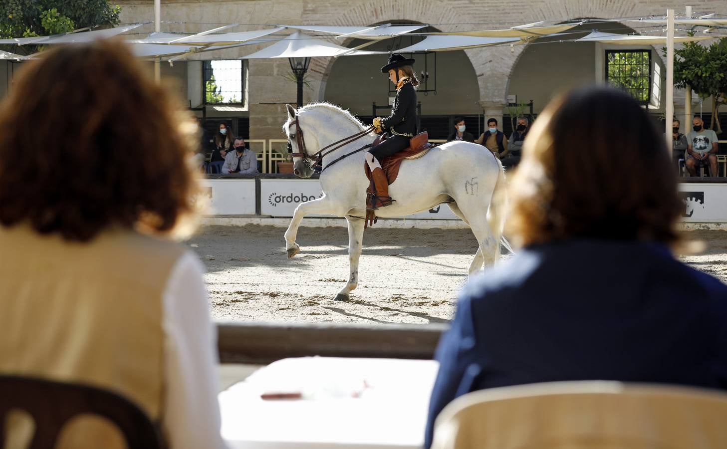 El XIII Campeonato de Andalucía de Alta Escuela en Caballerizas, en imágenes