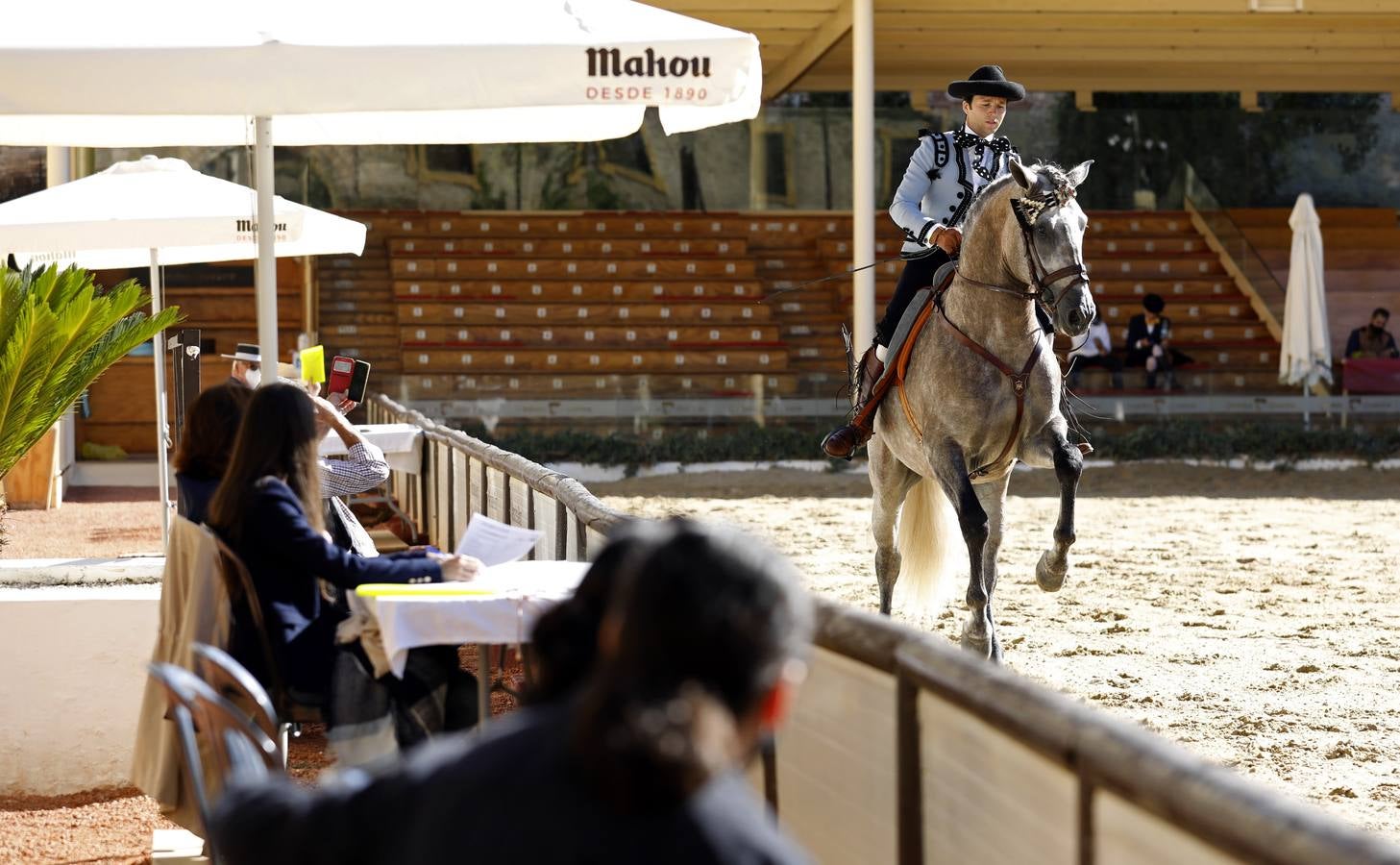 El XIII Campeonato de Andalucía de Alta Escuela en Caballerizas, en imágenes