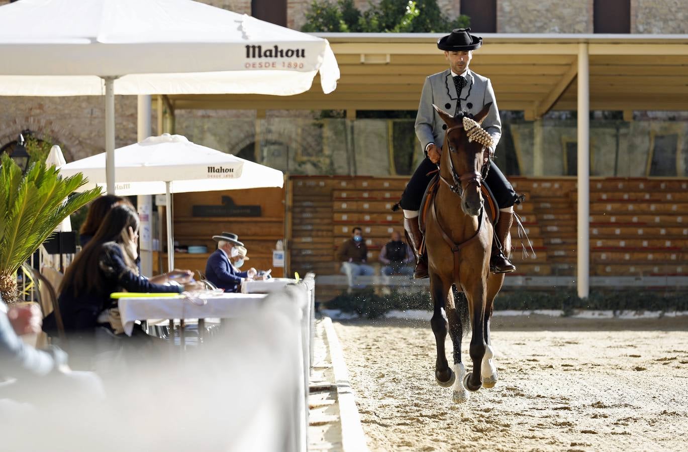 El XIII Campeonato de Andalucía de Alta Escuela en Caballerizas, en imágenes