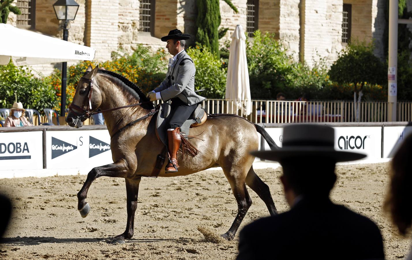 El XVIII Campeonato de Andalucía de Alta Escuela en Caballerizas, en imágenes