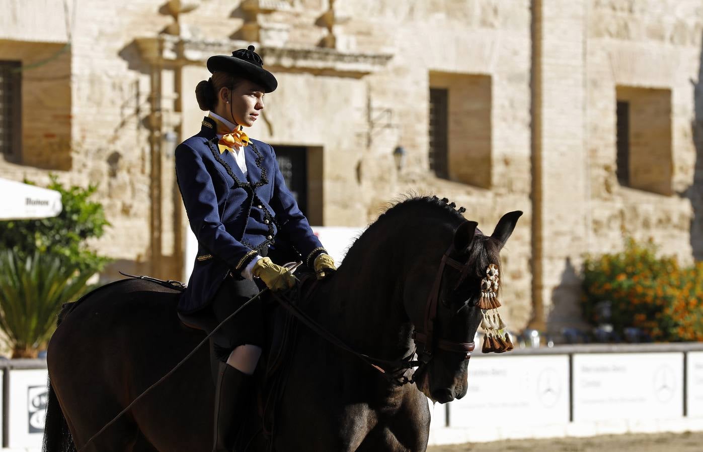 El XVIII Campeonato de Andalucía de Alta Escuela en Caballerizas, en imágenes