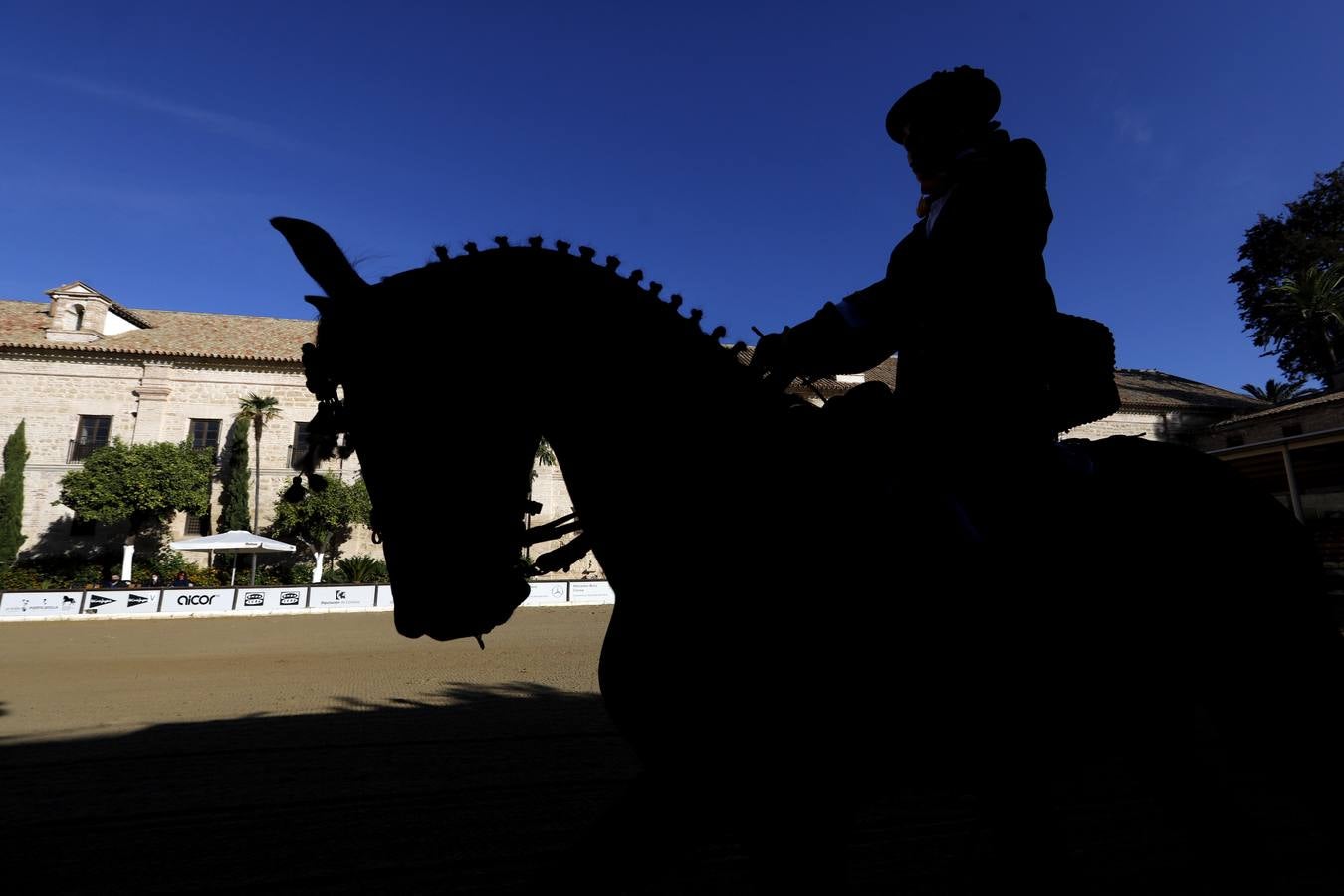 El XVIII Campeonato de Andalucía de Alta Escuela en Caballerizas, en imágenes