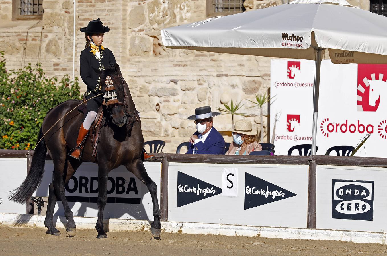 El XVIII Campeonato de Andalucía de Alta Escuela en Caballerizas, en imágenes