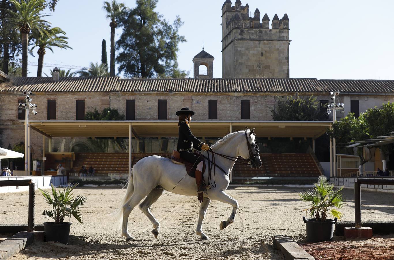 El XVIII Campeonato de Andalucía de Alta Escuela en Caballerizas, en imágenes