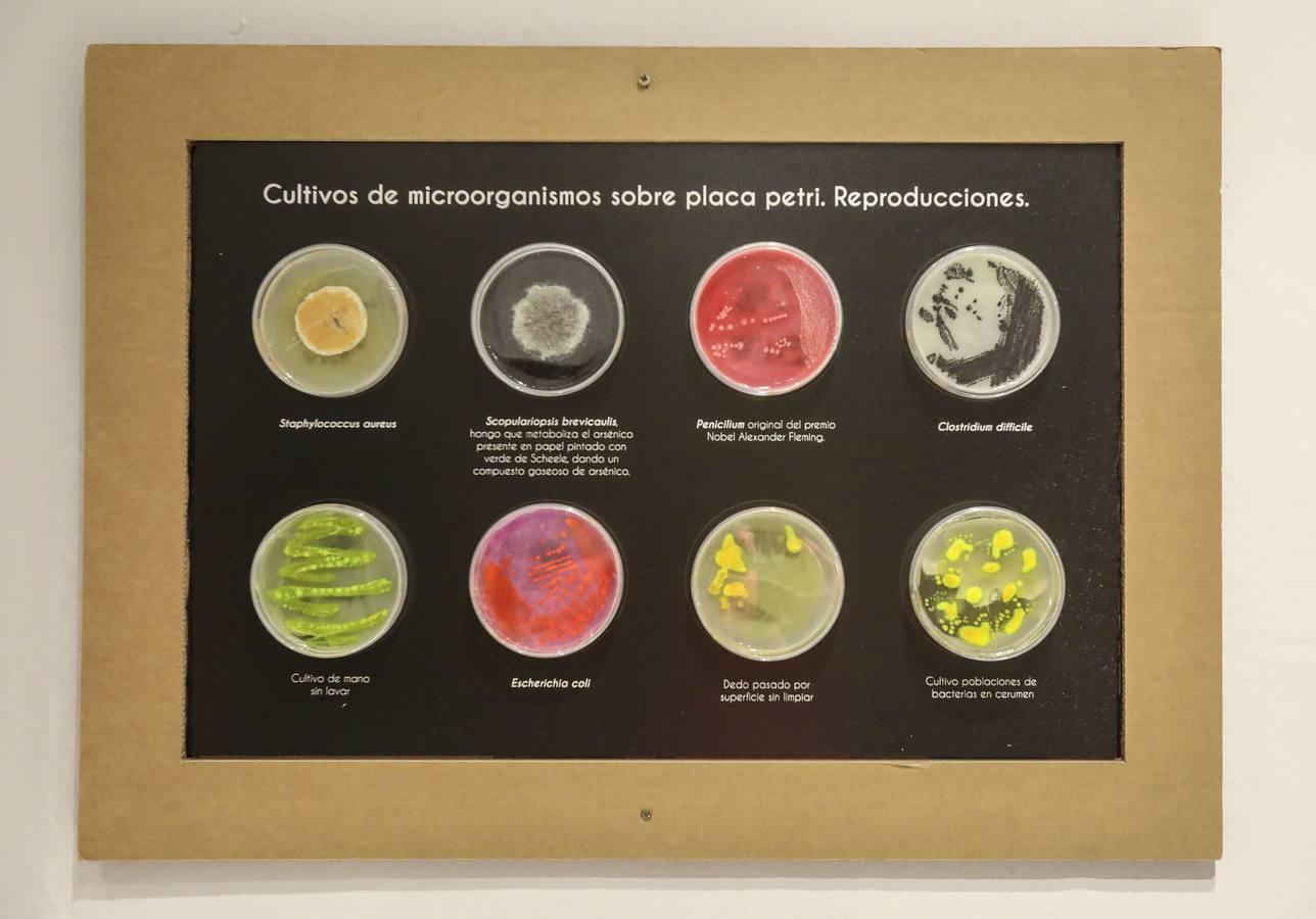 La Casa de la Ciencia de Sevilla reabre sus puertas con una exposición sobre Marte