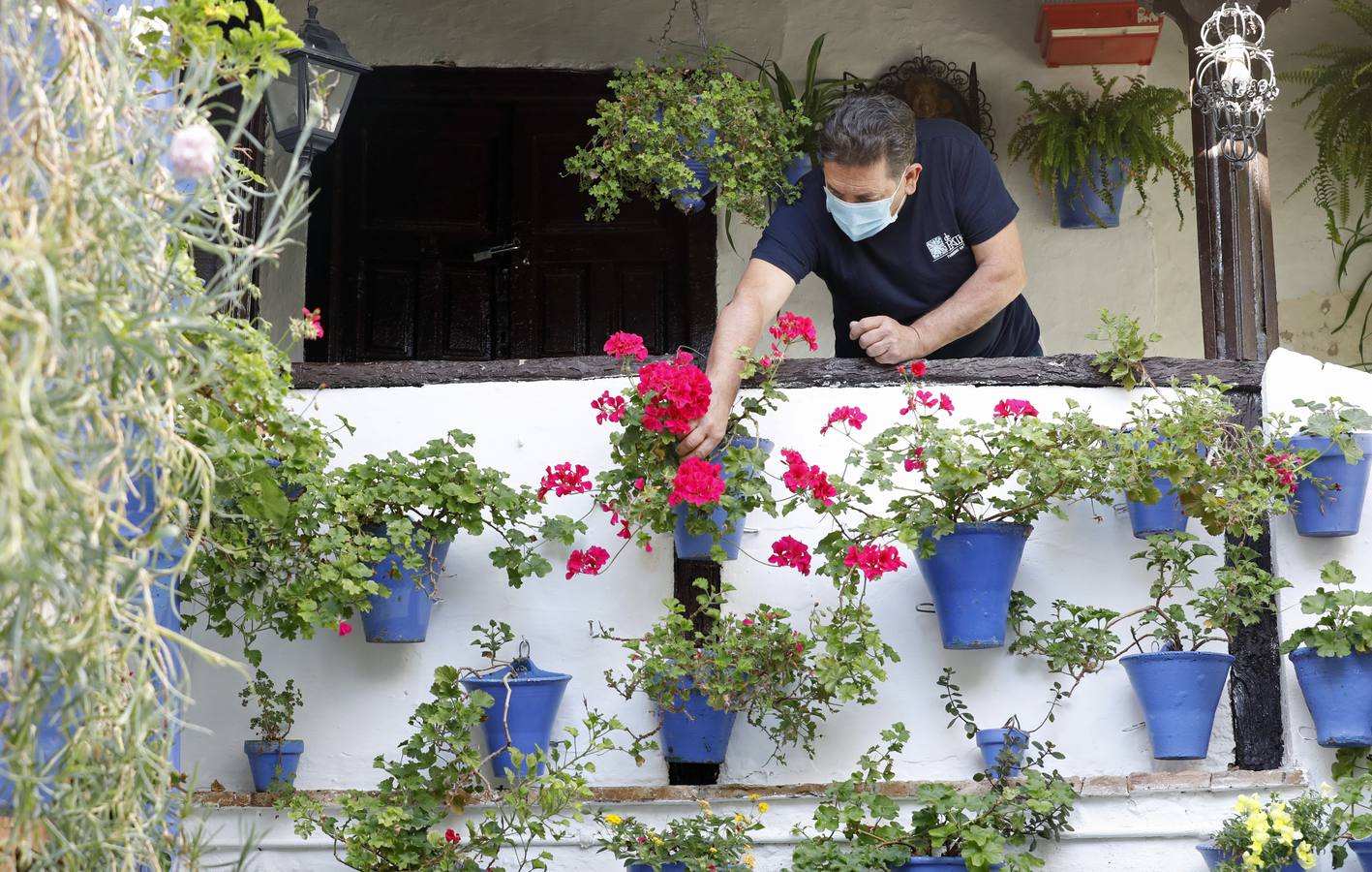 En imágenes, los Patios de Córdoba 2020 se preparan para su apertura