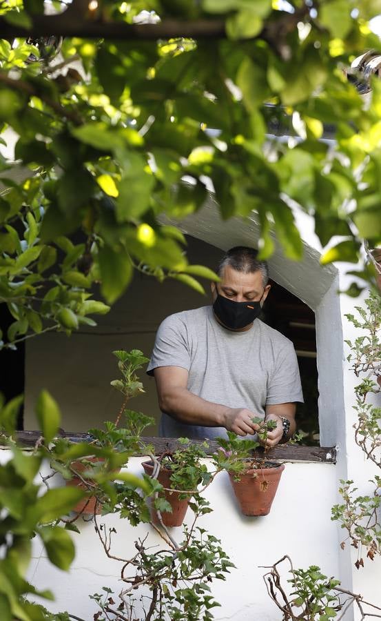 En imágenes, los Patios de Córdoba 2020 se preparan para su apertura