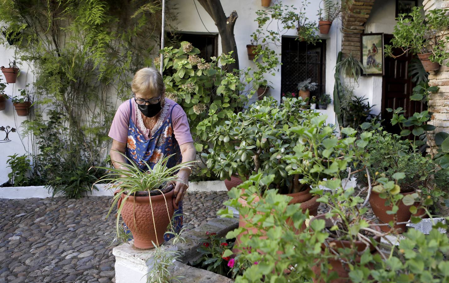 En imágenes, los Patios de Córdoba 2020 se preparan para su apertura