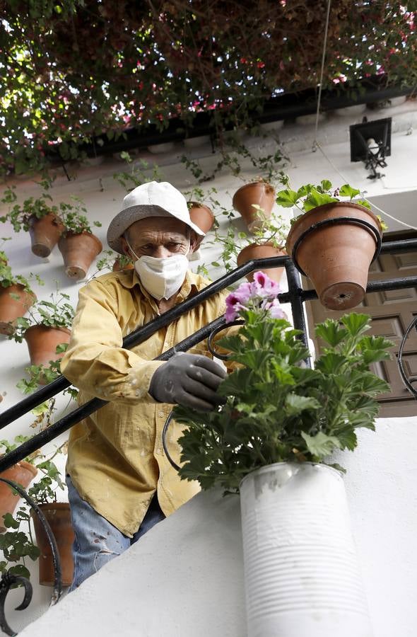 En imágenes, los Patios de Córdoba 2020 se preparan para su apertura