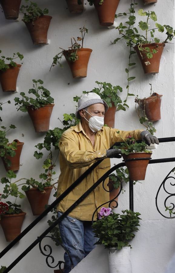 En imágenes, los Patios de Córdoba 2020 se preparan para su apertura