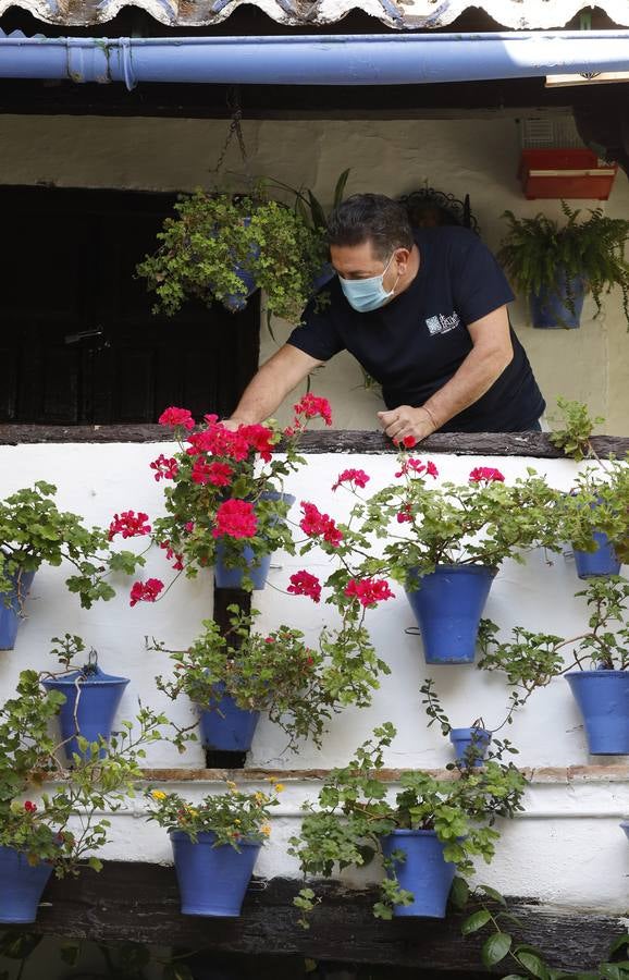 En imágenes, los Patios de Córdoba 2020 se preparan para su apertura