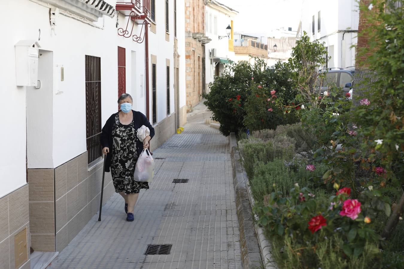 El primer día de confinamiento en Almodóvar del Río (I), en imágenes