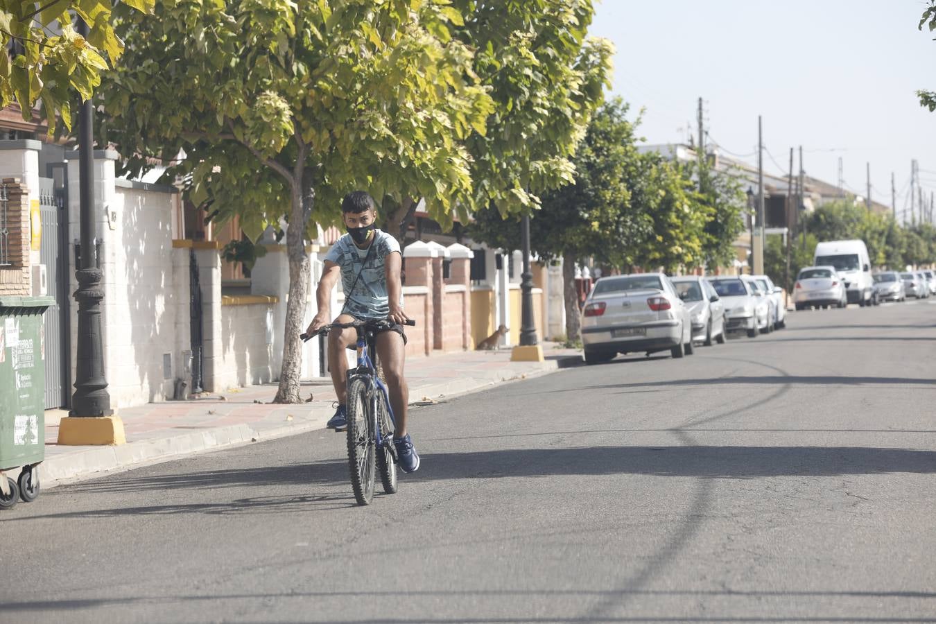 El primer día de confinamiento en Almodóvar del Río (II), en imágenes